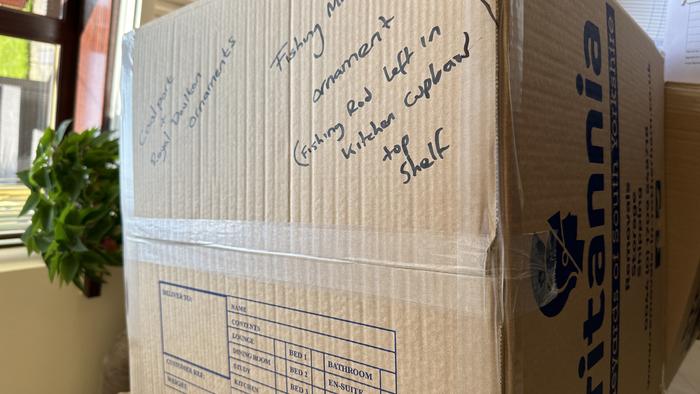 Packing for Moving day / Royal Doulton